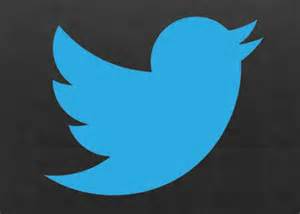 Twitter Logo